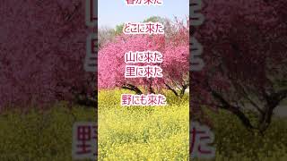 Download lagu 唱歌「春が來た」(作詞:高野辰之、作曲:岡野貞一) Spring Is Here 男声独唱 #Shorts mp3 Download lagu 唱歌「春が來た」(作詞:高野辰之、作曲:岡野貞一) Spring Is Here 男声独唱 #Shorts mp3