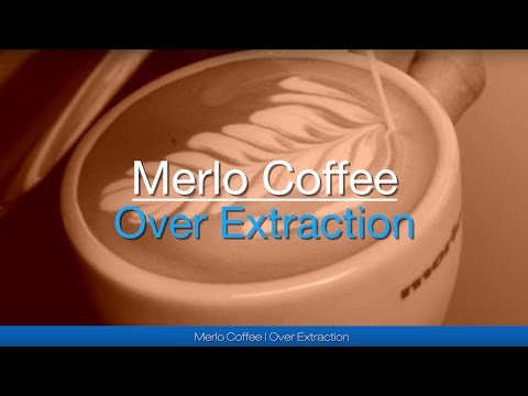 Extração excessiva com café Merlo