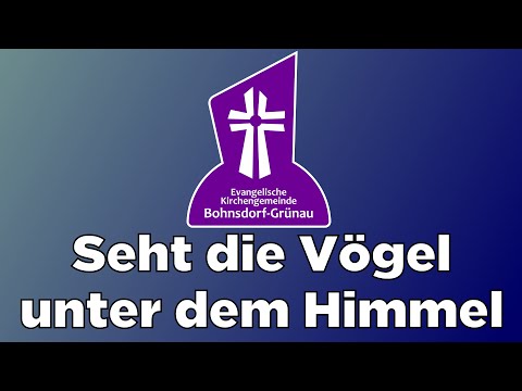 Ansichtssache: Seht die Vögel unter dem Himmel