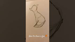 How to draw fox body 🦊