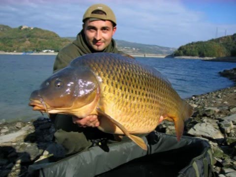 PARTE 1 The best of Matteo Marmocchi from 2006 to september 2008