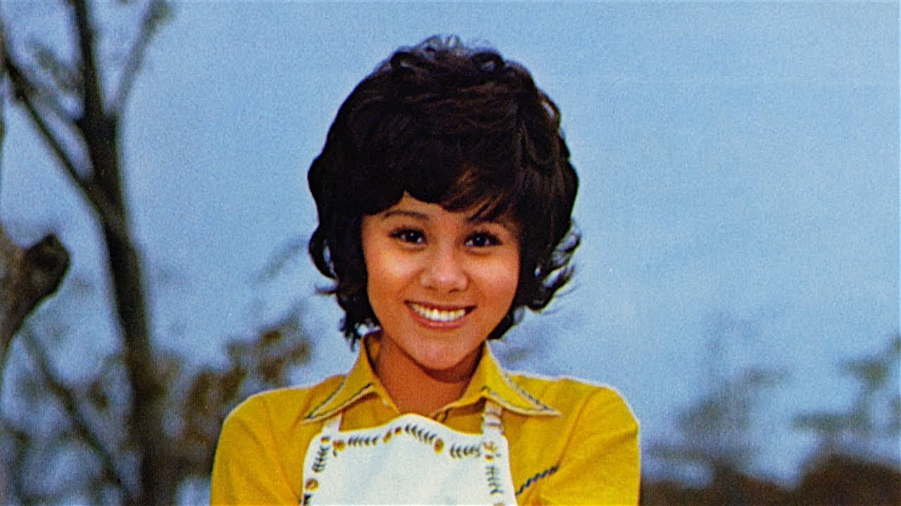 天地真理 ☆ 明るい表通り