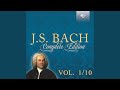 Harpsichord Concerto in E Major, BWV 1053: I. —