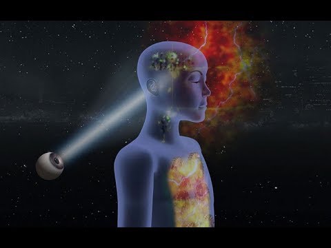 Evolution Fast-forward - Part 2 - Integral Yoga of Sri Aurobindo