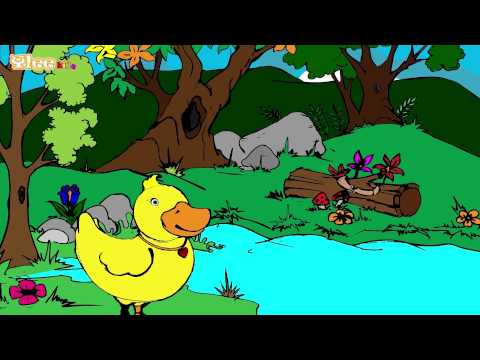 Pet majhnih Račk - Yleekids Slovensko