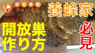 ニホンミツバチ養蜂家必見！全体が丸見えの巣【開放巣の作り方】