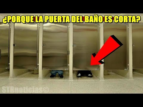 ¿Te has preguntado por qué las puertas en los baños públicos no llegan hasta el suelo? ¡INCREÍBLE! Video