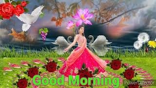 Good Morning & whatsapp status video