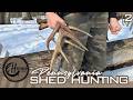 Big Woods Haul Shed Hunting Pennsylvania Public Land 2026 Shed Season