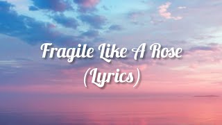 Download lagu Fragile Like A Rose - Salotune (lyrics) mp3