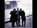 Medeski Martin and Wood - Moti Mo