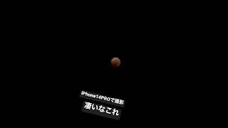 2022年11月8日