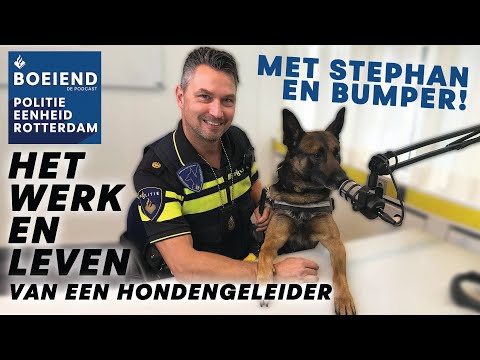 Boeiend de Podcast 04 - Het werk en het leven van een hondengeleider | Met Stephan en Bumper