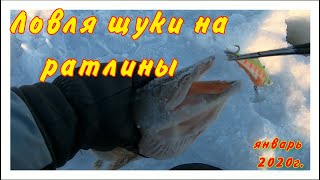 Лучшие дни для рыбалки в январе 2020г