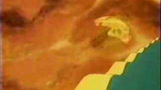 Animalympics - run away