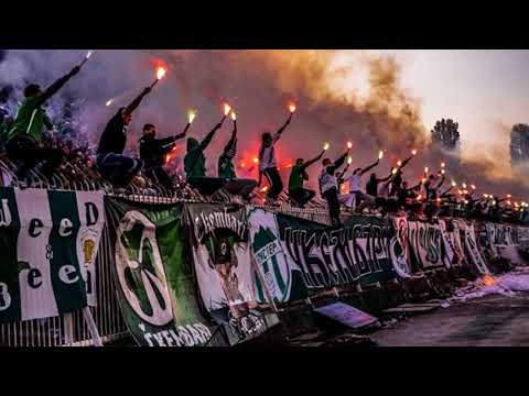 Ptico Moja Ckembari Himna / Птицо Моја Чкембари Химна