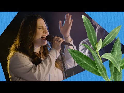 JESZCZE BĘDZIE PIĘKNIE | Gabi Gąsior | NIEBO Live Session