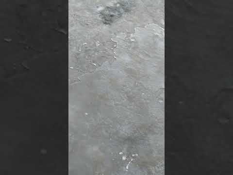 Waterproofing Service