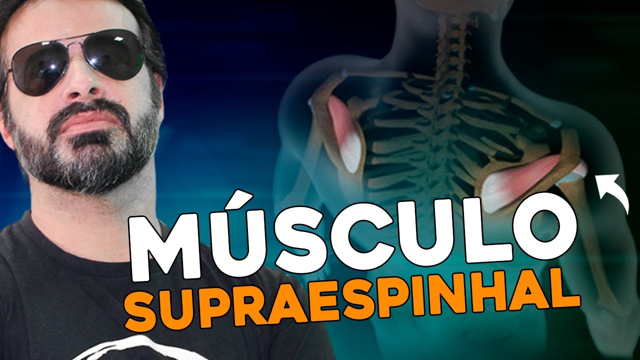 MÚSCULO SUPRAESPINHAL: VOCÊ NUNCA MAIS IRÁ ESQUECER!