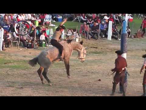 Oro Verde 2025 - Broche de Oro en Clina - 8º Festival Jineteada - Agrup. Trad. Oro Verde - 17/8/25