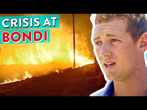 Exactly What You DON'T Want To Happen! Bondi's Biggest Disasters