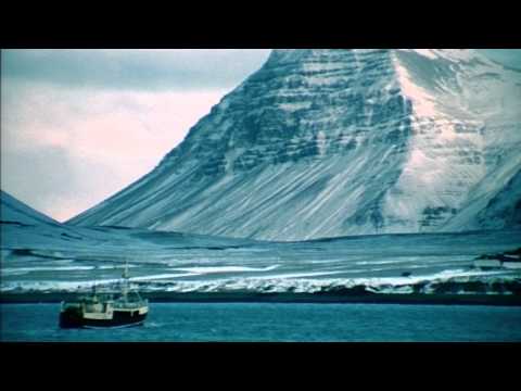 young's sea to plate 60