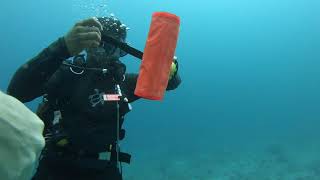 Scuba Diving in the North Male Atoll, Maldives - June 2019