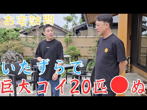 carpes-koi-bassin-poisson-extérieur-design-moderne