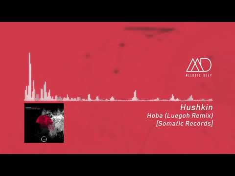 PREMIERE: Hushkin - Hoba (Luegoh Remix) [Somatic Records]