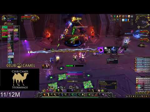 Mythic Ra-Den Destruction Warlock PoV | World of Warcraft 8.3