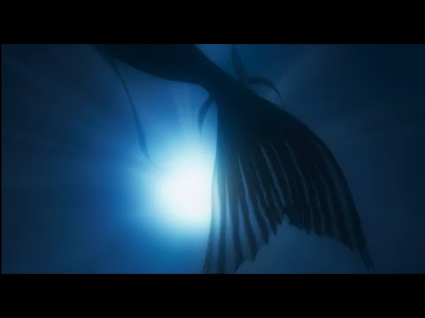 Camila's story; Iara, sereia (Mermaid, siren) - Invisible City (Cidade Invisível), Netflix.