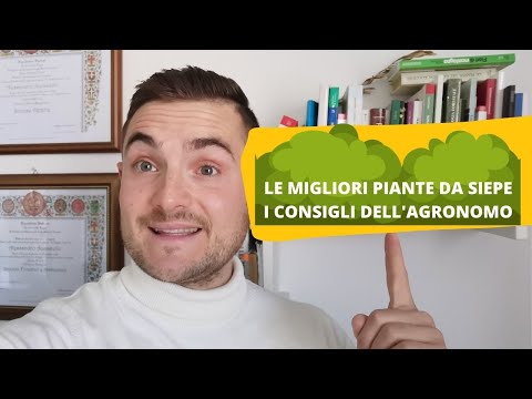 PIANTE DA SIEPE MIGLIORI PER IL GIARDINO: I CONSIGLI DELL'AGRONOMO