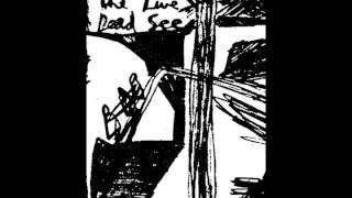 The Dead C - 3 Years