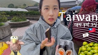 [Sub] 🇹🇼 대만 Vlog.3 ㅣ4박 5일 타이베이ㅣ臺北旅遊ㅣ비오는 날의 칭티엔강ㅣ까르푸 꾸이린점ㅣ화산1914ㅣ擎天崗ㅣ