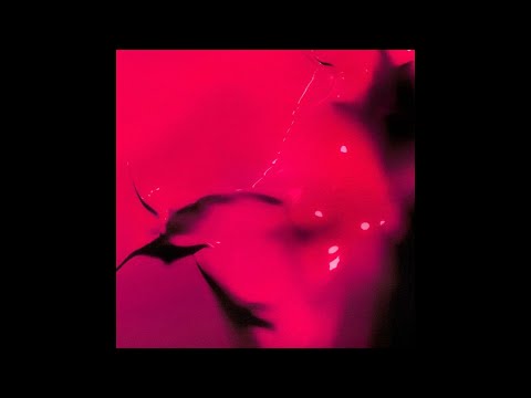 [FREE] lil tecca x dro kenji type beat - "portable"