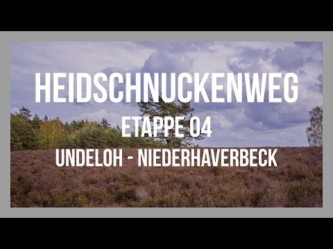 Heidschnuckenweg | Etappe 04 - Undeloh - Niederhaverbeck | Lüneburger Heide | GPS-Track