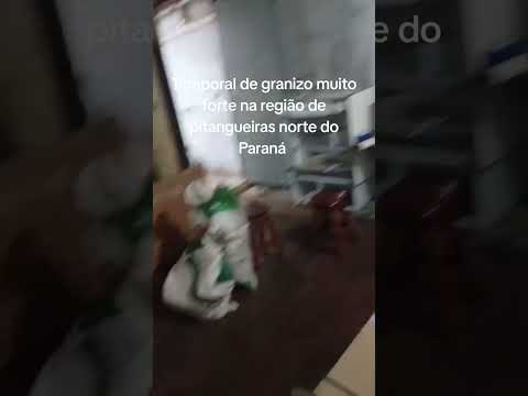 temporal de granizo atinge região de pitangueiras norte do Paraná e deixa estragos