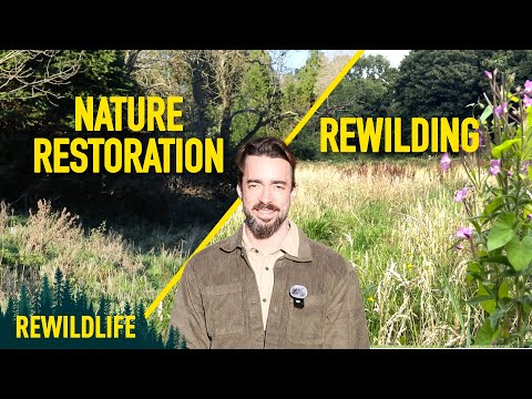 What is Rewilding?