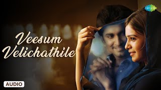 Veesum Velichathile - Audio Song | Naan Ee | Nani, Samantha | S. S. Rajamouli | M. M. Keeravani