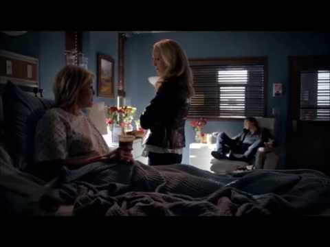 TVD: Damon, Liz and Caroline "Number of women who will die to spent a night with me"