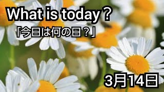 【What is today?】今日は何の日?(0314)|YouTube掲示板《ヒントストック》