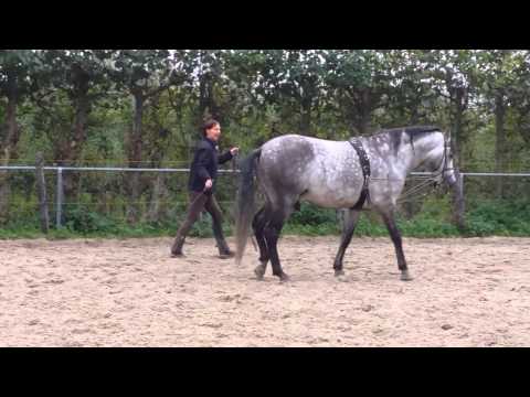 Eu Chamei Mei Mestre.rec.P.Sebastiao.nr.132