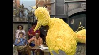 Classic Sesame Street - Big Bird learns what it means when someone dies. (R.I.P.  Mr. Hooper)