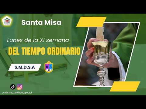 Lunes de la XI Semana del Tiempo Ordinario. Diócesis de Santiago de Veraguas.