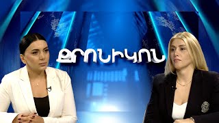 ՄԻԵԴ-ն արձանագրել է` Մարտի 1-ի գործով իշխանությունը պատշաճ չի տվել փաստաթղթերը. Էլինար Վարդանյան
