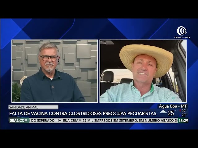 FALTA DE VACINA CONTRA CLOSTRIDIOSES ALERTA PECUARISTAS