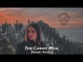Teri Chahat Mein Marne Lagne Slowed And Reverb