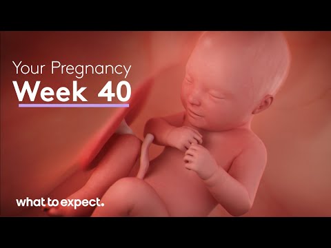 Mother-Baby developments this week (Week 40)