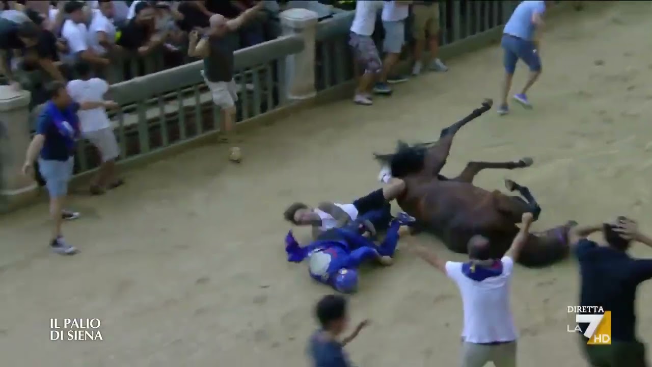 Palio di Siena 2026, la caduta di Tittia dopo la vittoria del Nicchio