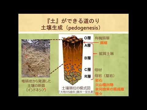 農学部生物資源科学科　模擬授業「足元に広がる宇宙」　早川智恵
